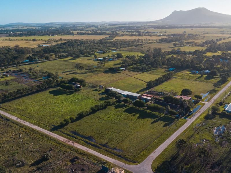 Rare Income-Generating Lifestyle Smallholding:2 Homes & Business Potential – Rendallton, Near Gqeberha - Photo 10