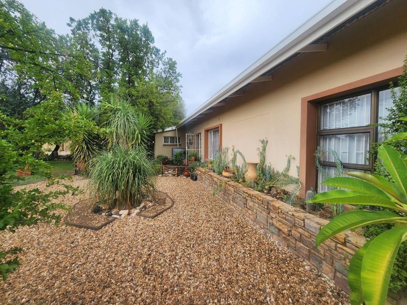 2 Houses on 1 erf - Photo 2