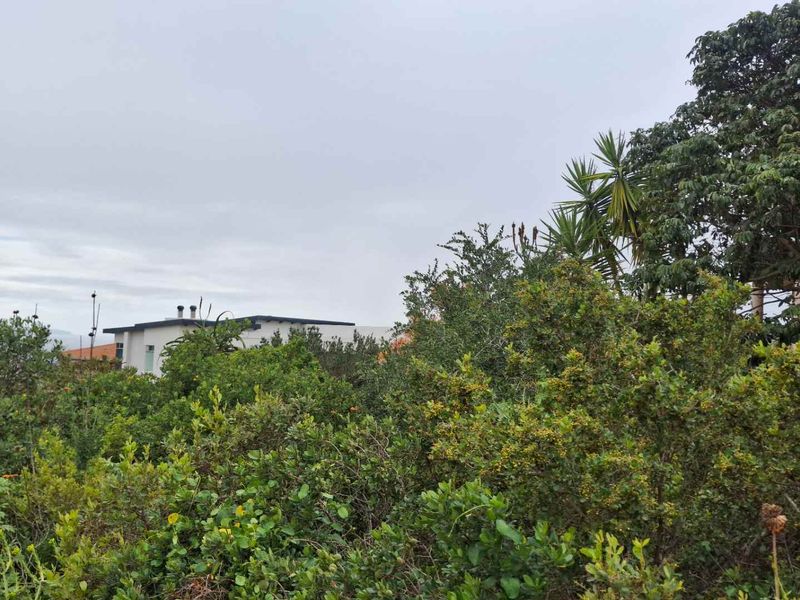 Well-situated stand in prestigious Vleesbaai - Photo 9