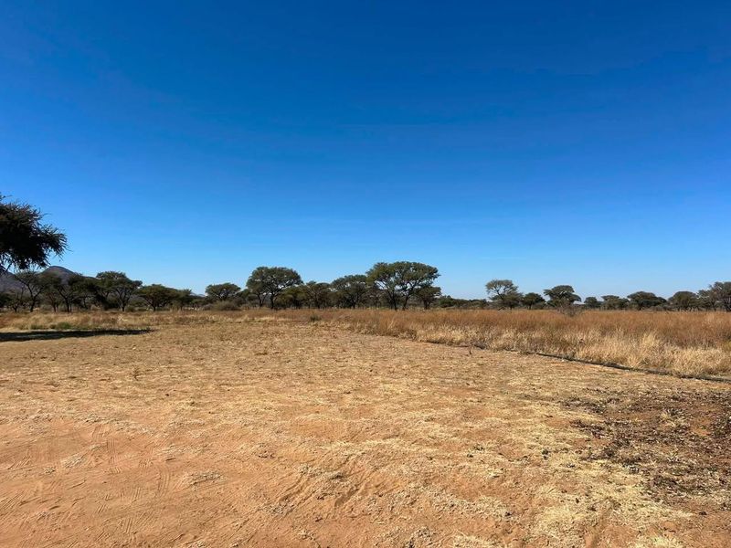 Expansive open land area featuring natural dry grass and scattered indigenous trees, suitable for agricultural or small holding development.
