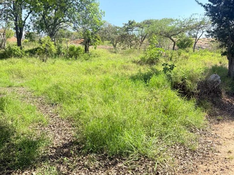 A view of a vacant residential plot featuring natural grass cover and mature trees, suitable for future development.