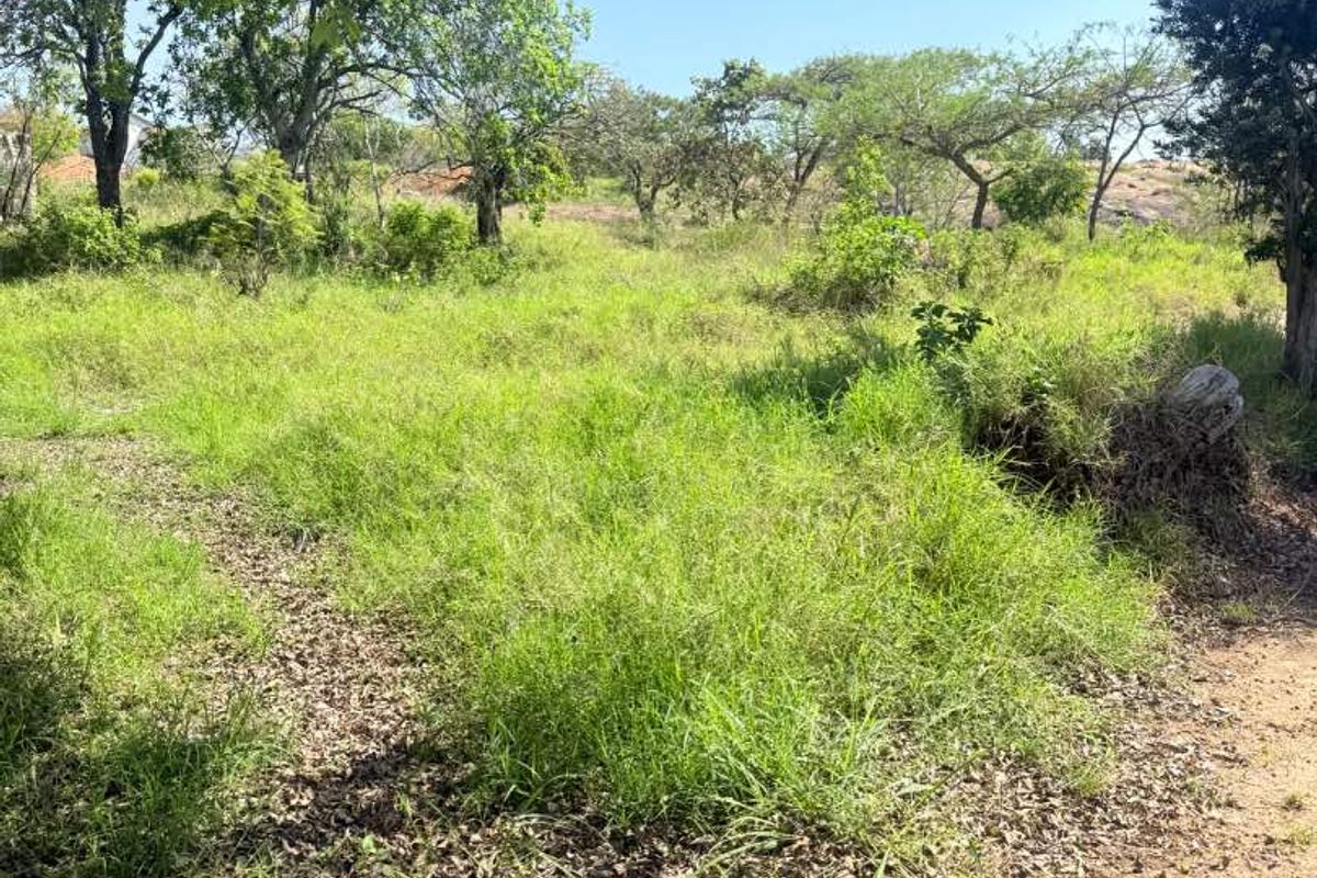A view of a vacant residential plot featuring natural grass cover and mature trees, suitable for future development.