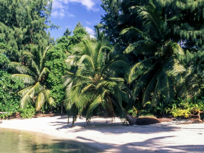 Virgin Beachfront land Cerf Island - Photo 5