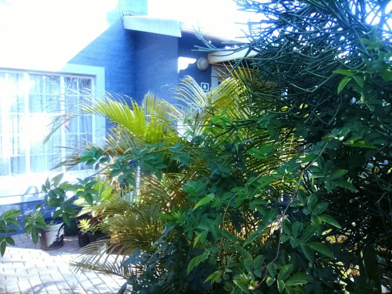 A view of the rear exterior of the townhouse featuring a paved patio area and established garden landscaping.