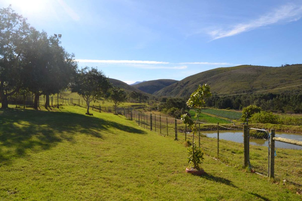 Farm 13 km from Hartenbos - Photo 2