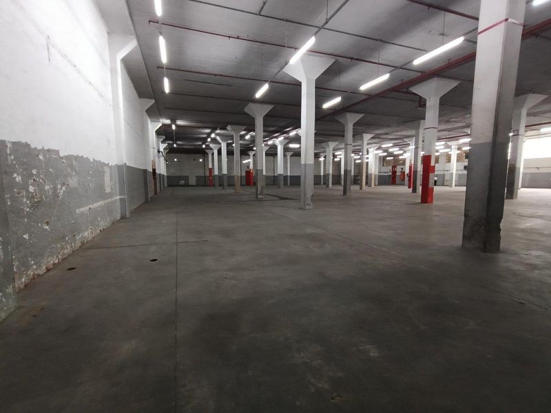 3410m2 - Secure Mega Industrial Park - Photo 6