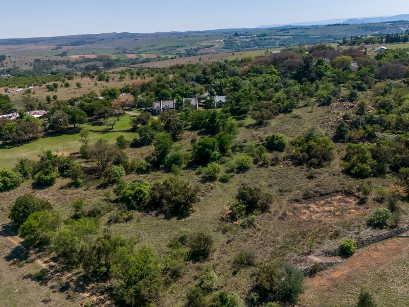An aerial view of a large, undeveloped agricultural land parcel featuring natural vegetation, scattered trees, and an unpaved access road.