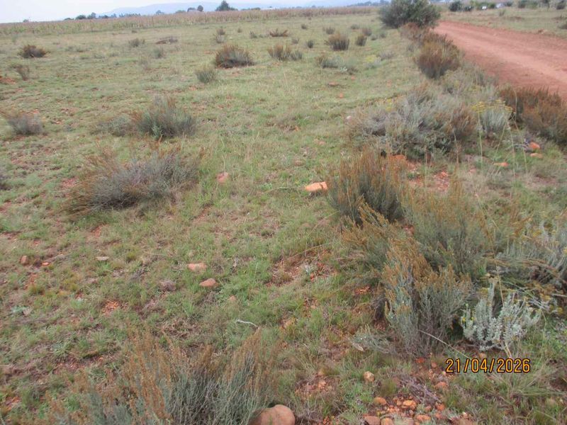 Enjoy the tranquility of Henley - Photo 10