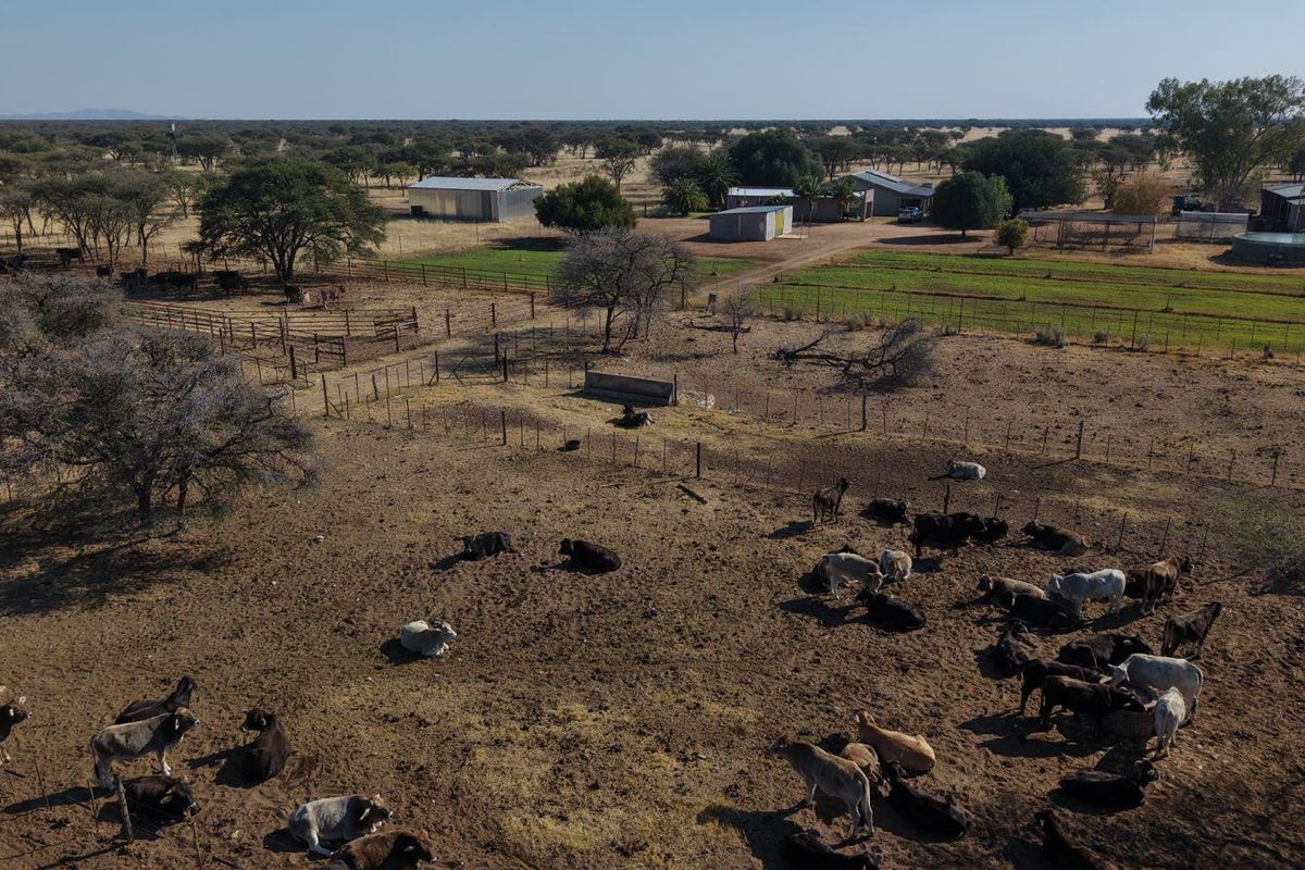 Aerial view of a farm property featuring livestock enclosures, multiple outbuildings, and open grazing land.