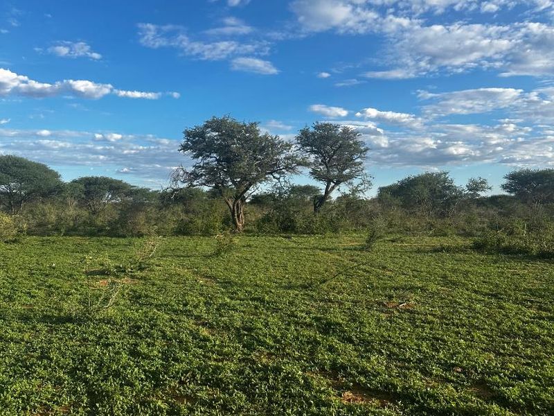 Eros- To Let-N$20 000 - Photo 8