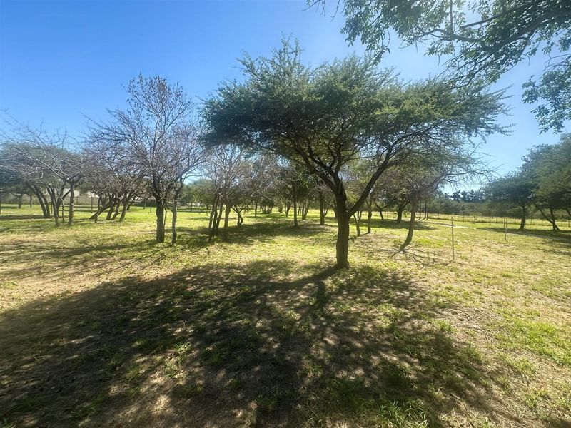 Commercial Stand for Sale - Zandspruit Boulevard, Hoedspruit - Photo 3