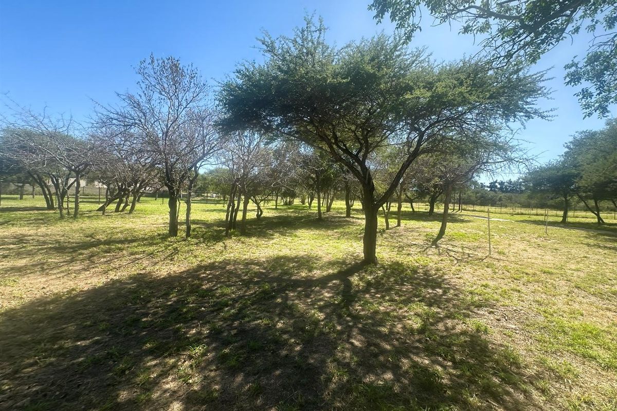 Commercial Stand for Sale - Zandspruit Boulevard, Hoedspruit - Photo 3