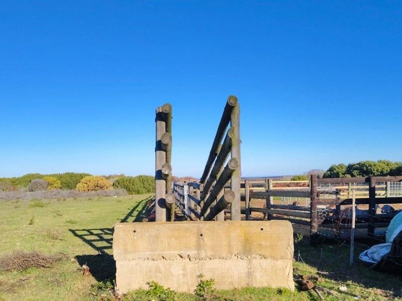 EXCEPTIONAL BEAUTIFUL VERSITILE FARM TO DEVELOP. TOURIST ATTRACTION - Photo 2