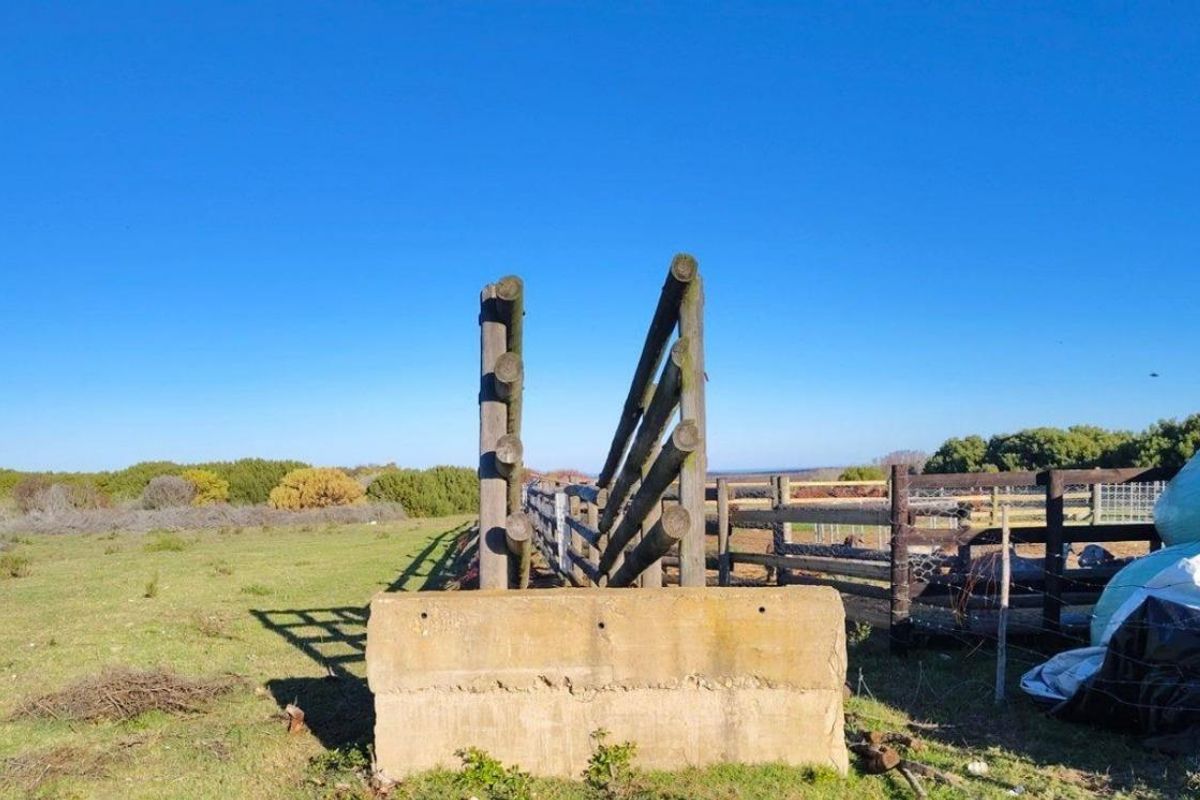 EXCEPTIONAL BEAUTIFUL VERSITILE FARM TO DEVELOP. TOURIST ATTRACTION - Photo 2