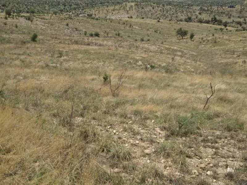 Nature Estate Near Windhoek – 21 Hectares of Pure Potential! - Photo 10