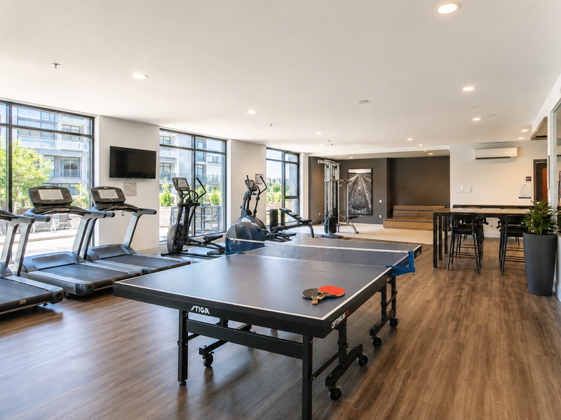 A modern, well-lit communal gym facility featuring large windows, wood-look flooring, and integrated climate control, equipped with various fitness machines and recreational equipment.