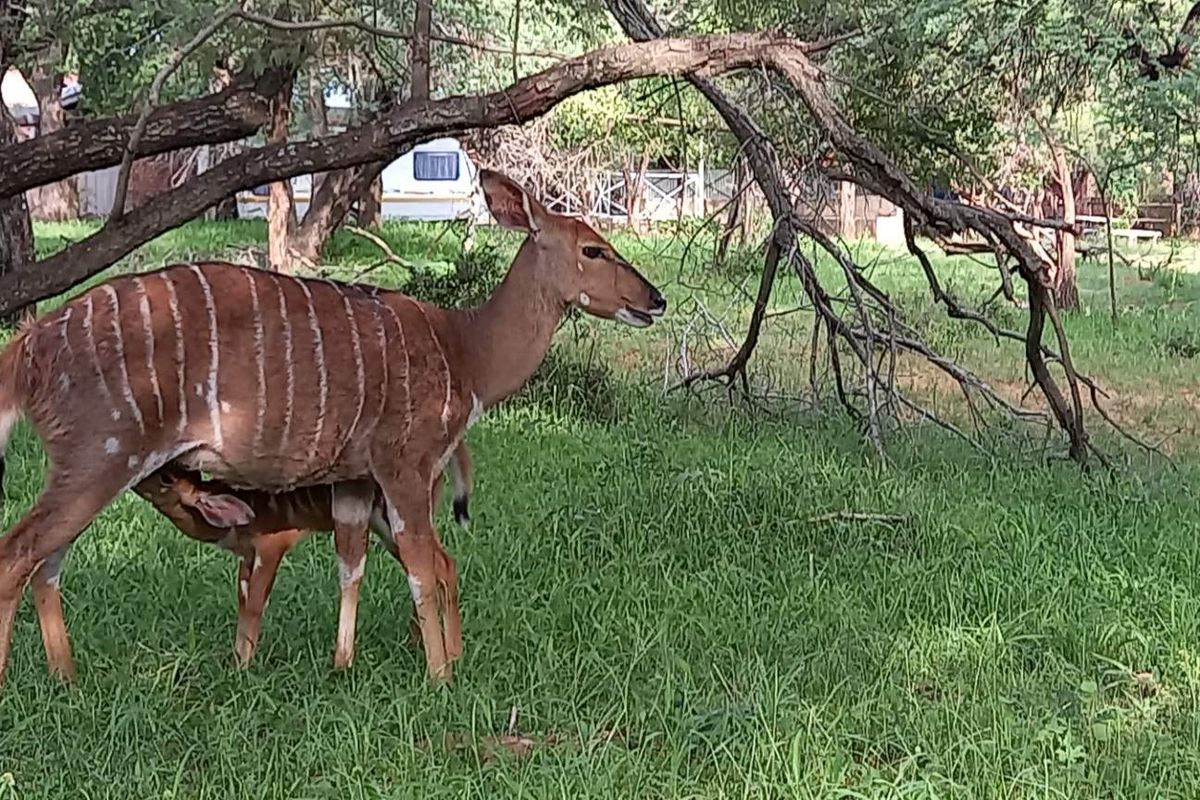 Build Your Ideal Home Here - Photo 4