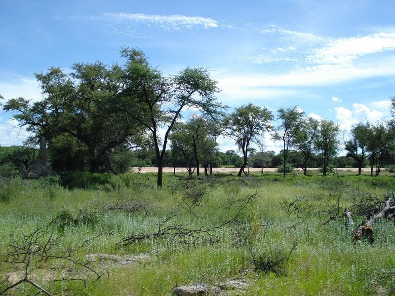 Omaruru Small Holding FOR SALE - Photo 4