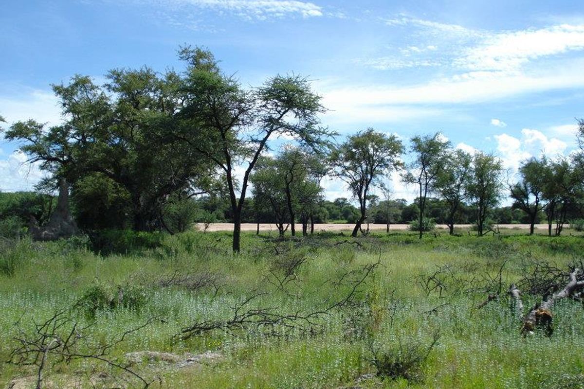 Omaruru Small Holding FOR SALE - Photo 4