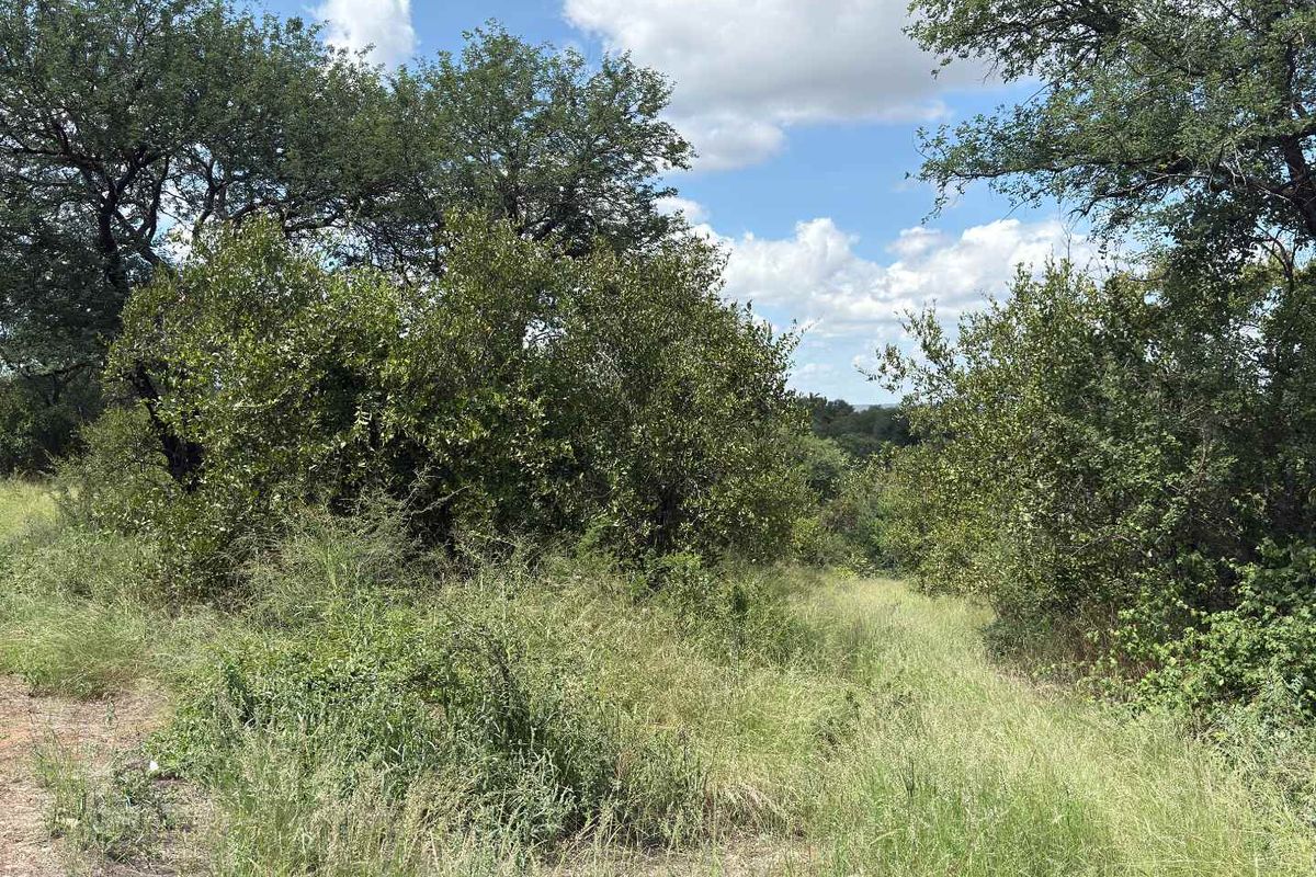 Prime Development opportunity between Hoedspruit and Phalaborwa - Photo 4