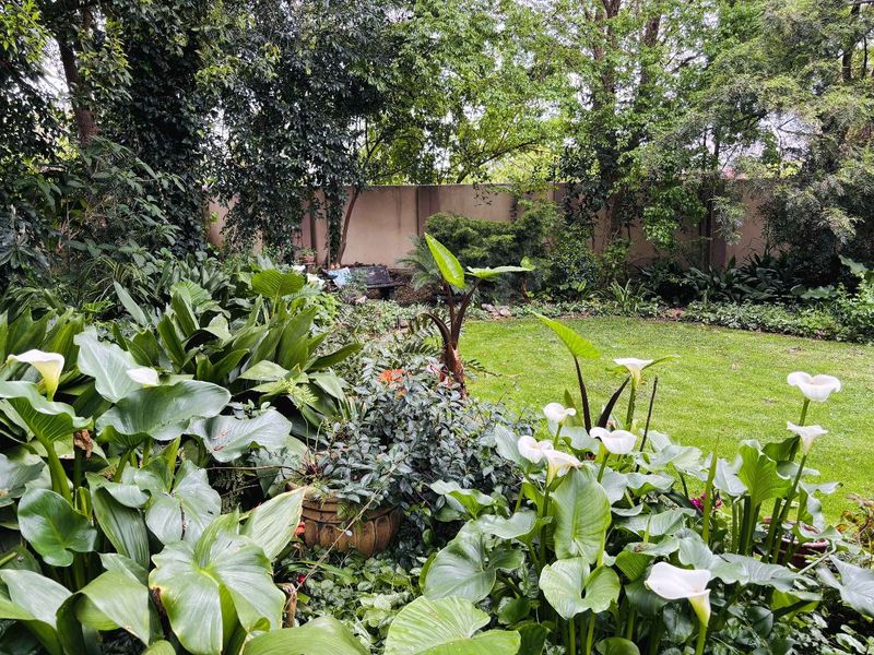 A lush, well-established private garden featuring a manicured lawn, mature trees, and a solid boundary wall for privacy.