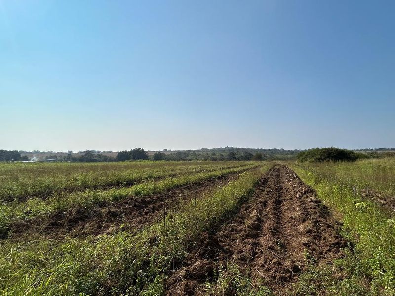 21 ha Mixed-Production Farm with Strong Water Availability - Photo 1