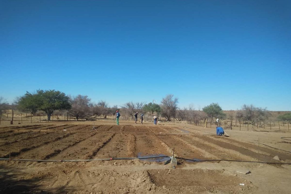 Live the Farm Life: 7625 Hectares of Farm Opportunity in Rehoboth - Photo 5