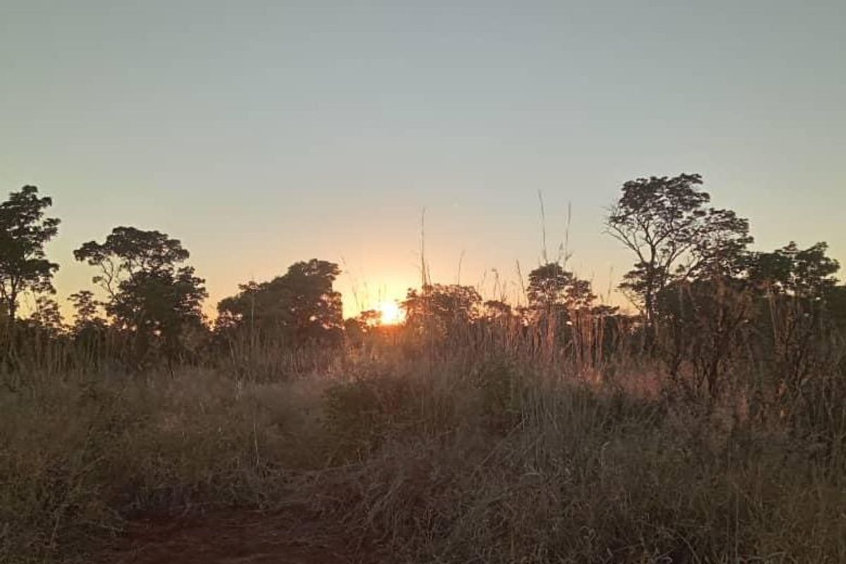 Unlock the Wild – Live the Farm Life! - Photo 2