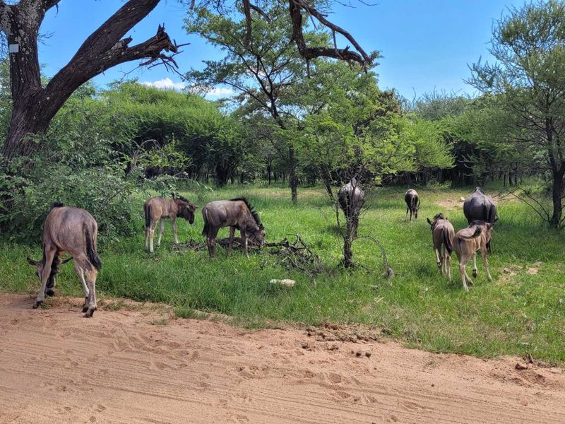 400m2 Stand Level Stand - Photo 6