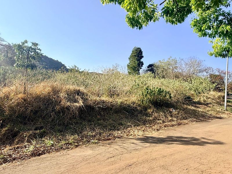 A view of a vacant residential plot featuring sloped terrain and overgrown vegetation, with direct access from a paved road.