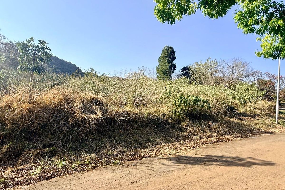 A view of a vacant residential plot featuring sloped terrain and overgrown vegetation, with direct access from a paved road.