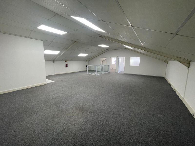 Spacious open-plan office area featuring a raked ceiling, recessed lighting, and carpeted flooring, suitable for a versatile workspace layout.