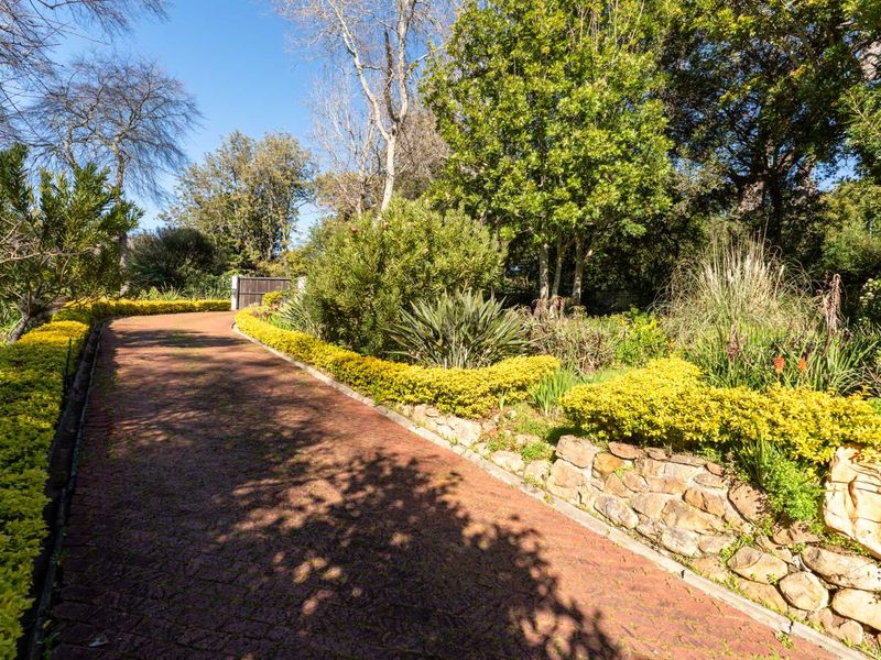 Where Grace Meets Grandeur in Constantia Upper - Photo 6