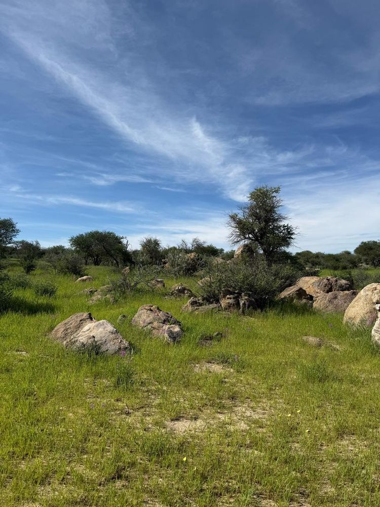 View of the field on the Farm