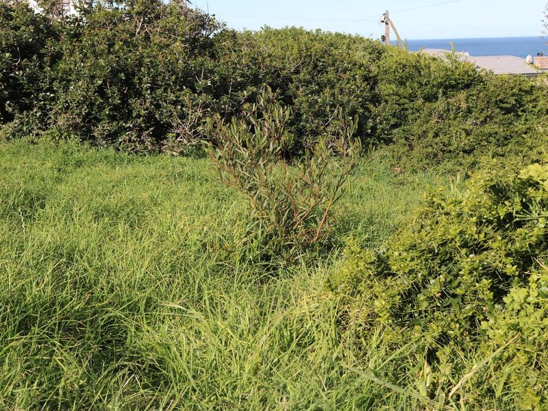 Vacant Land For Sale In Dana Bay - Photo 4