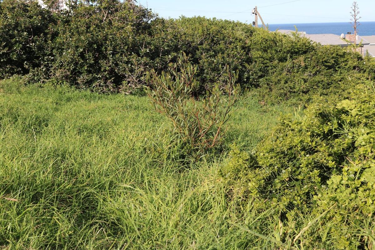 Vacant Land For Sale In Dana Bay - Photo 4