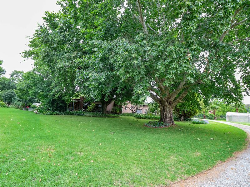 A spacious, well-maintained garden area featuring mature trees, a lush green lawn, and a gravel driveway leading toward the property.