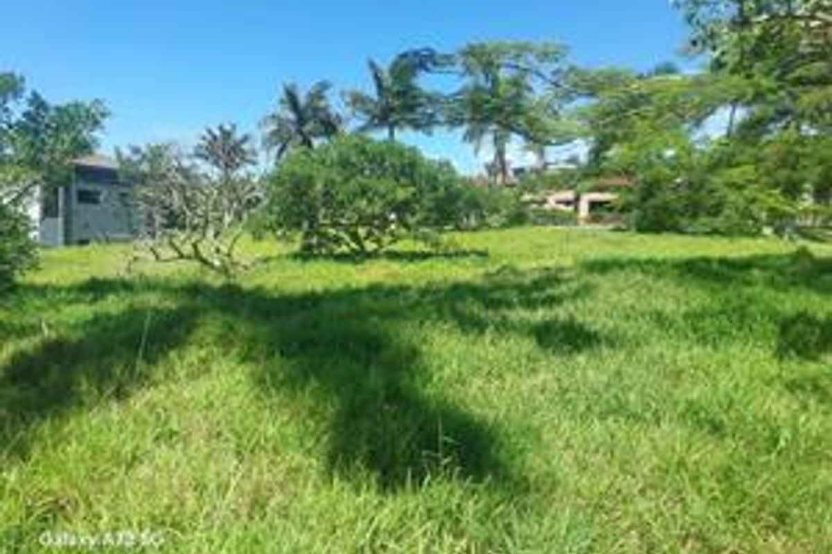 A view of a vacant residential plot featuring established trees and grass, offering a blank canvas for future development.