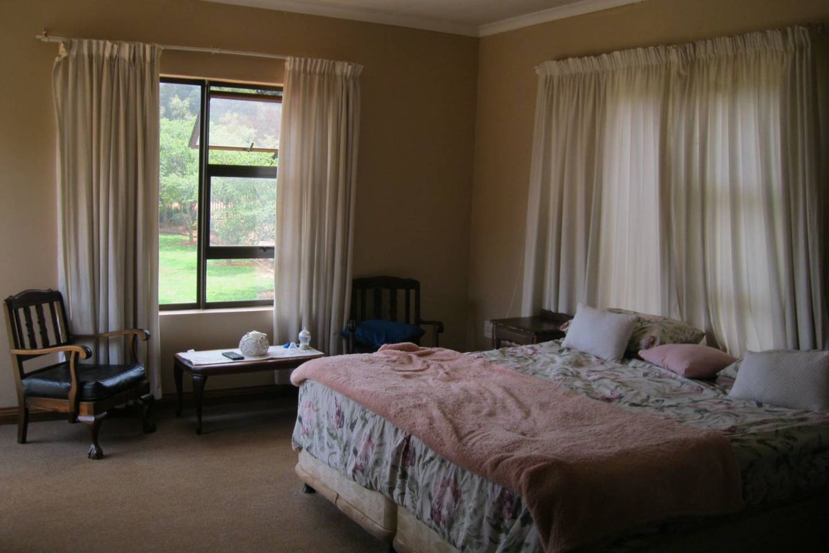 A spacious bedroom featuring neutral wall tones, carpeted flooring, and large windows that provide natural light and views of the surrounding garden.