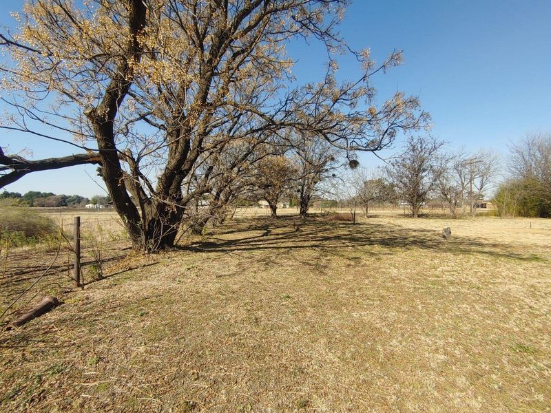 A spacious outdoor garden area on a small holding, featuring mature trees and wire perimeter fencing.