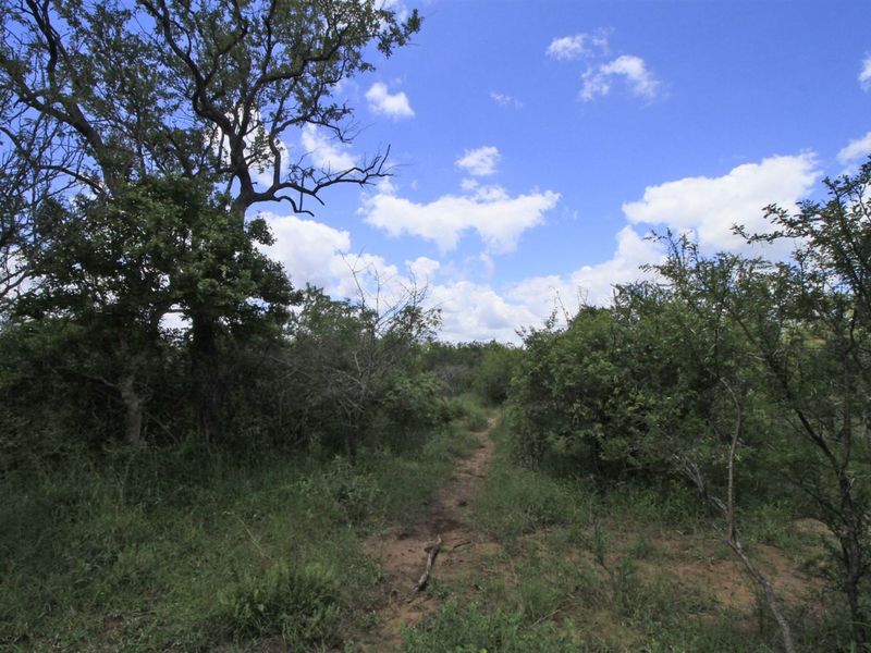 Vacant Land in MODITLO NATURE RESERVE - Photo 3