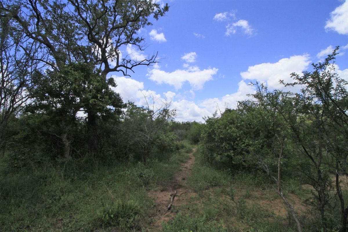 Vacant Land in MODITLO NATURE RESERVE - Photo 3