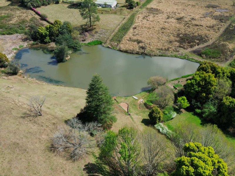 An aerial view of the farm property featuring a large natural dam surrounded by established trees and open grazing land.