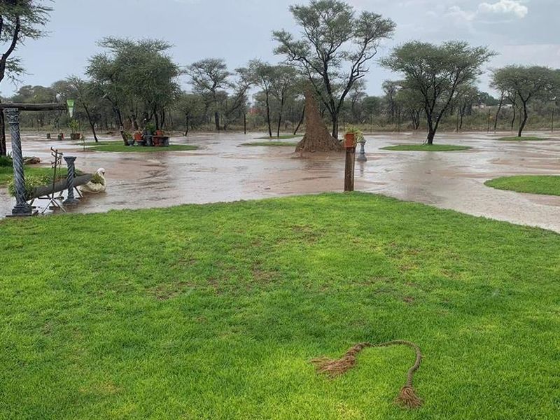 A view of a garden area on a farm property experiencing significant surface water accumulation and flooding across the lawn.