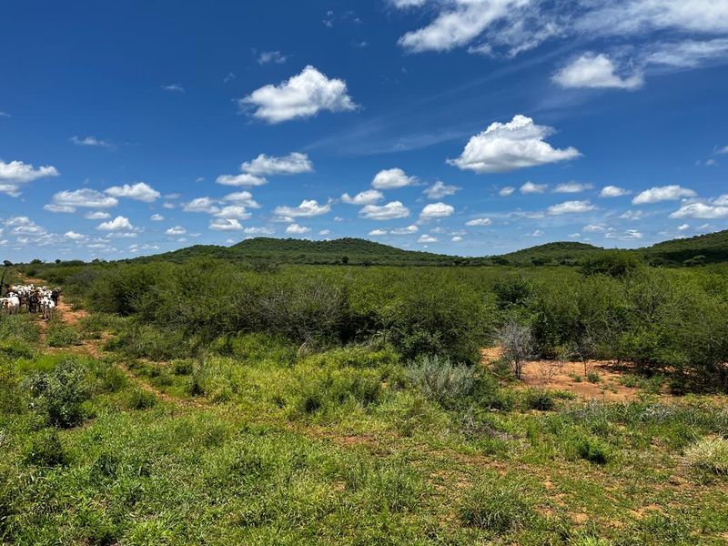 260 hectare agricultural plot, ideal for Centre pivot, feedlot or crop production - Photo 2