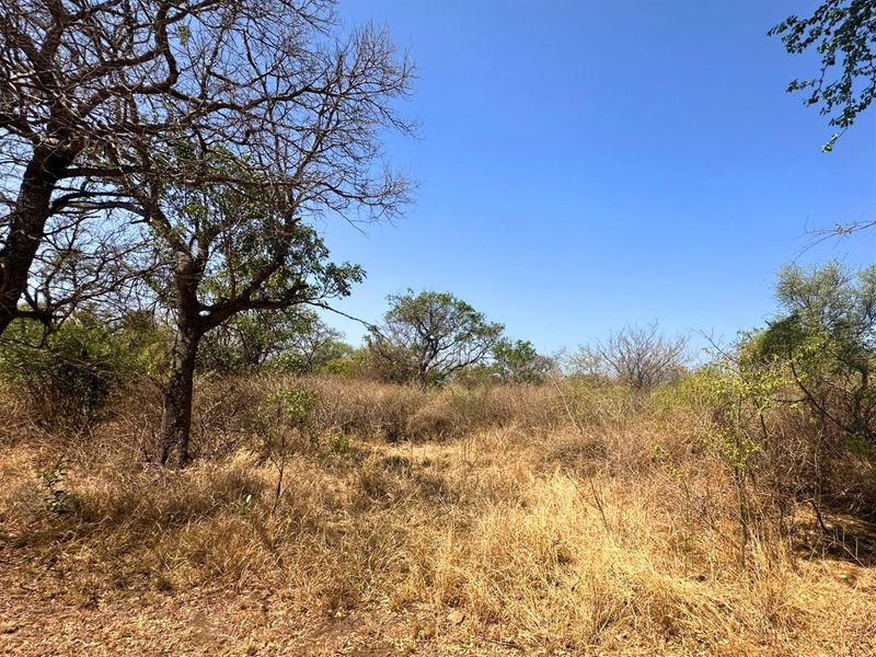 Vacant Stand with Mountain views - Photo 6
