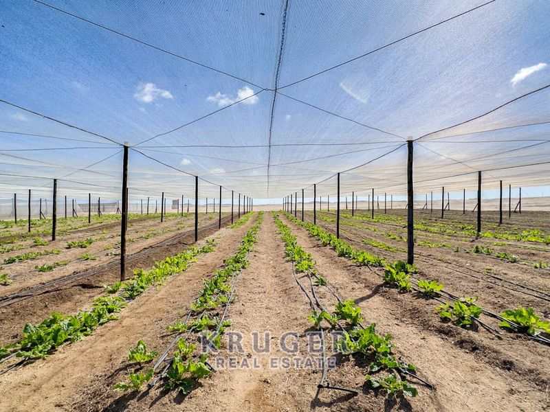 Productive Agricultural Smallholding with Established Income Stream - Photo 4