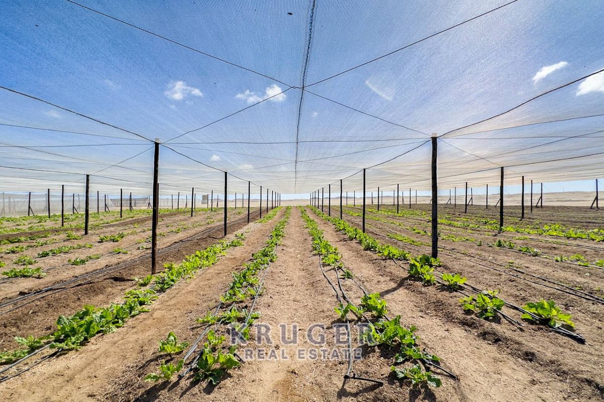 Productive Agricultural Smallholding with Established Income Stream - Photo 4