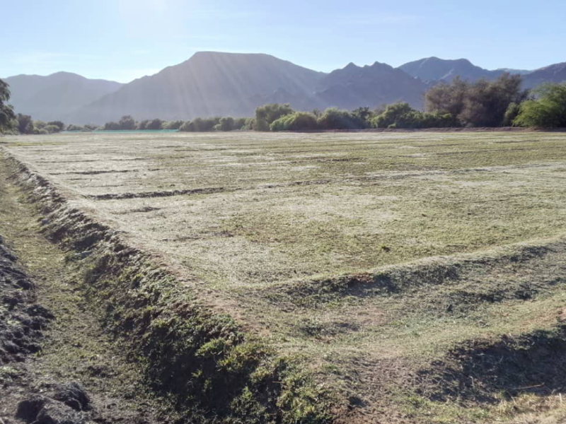 Irrigation farm located near Noordoewer with canal water available. - Photo 2