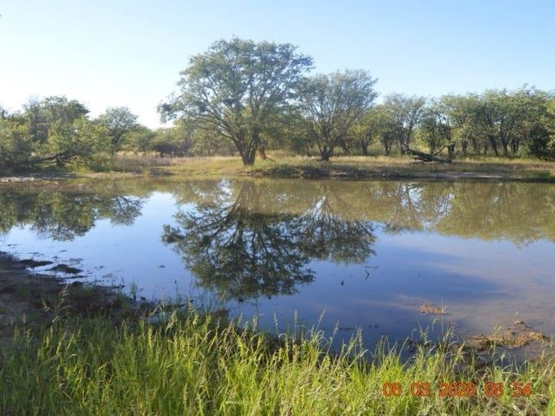 A scenic view of a natural farm pond surrounded by indigenous trees and native grassland, showcasing the property's natural landscape.
